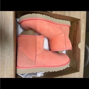 UGGs classic mini, brand new with box. Size 10 
Discontinued color/style